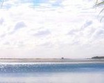 header_2.jpg